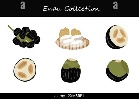 enau collection. enau in different poses. Vector illustration. Stock Vector