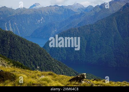 view while hiking the kepler trek Stock Photo