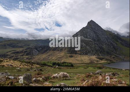 Llyn Ogwen and Tryfan Mountain, Ogwen Valley, Snodownia, north Wales, on a cloudy spring day. Stock Photo