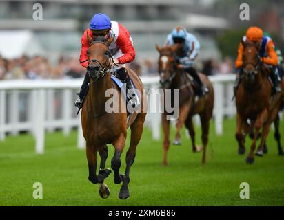 Newbury, UK. 23rd Jul 2024. Formal ridden by Jason Watson wins the 6.45 Pump Technology EBF Maiden Fillies' Stakes at Newbury Racecourse, UK. Credit: Paul Blake/Alamy Live News. Stock Photo