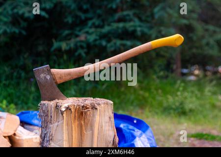 Axe Embedded in Tree Stump in Forest Setting Stock Photo