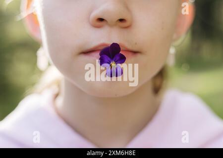 Young girl playfully holds purple pansy flower in her mouth. Stock Photo