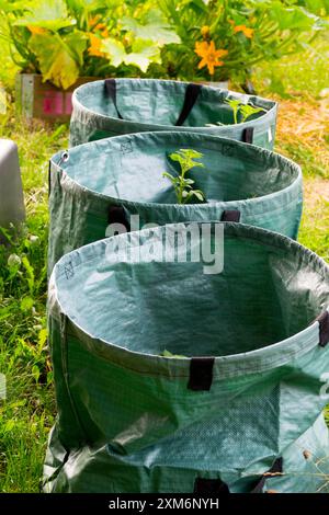 Light fabric sacks for various uses in the garden Stock Photo