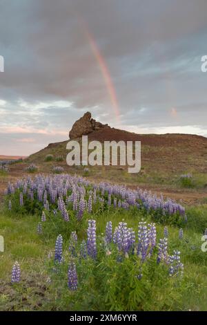Rain clouds over the landscape at Lake Prestholalon, Nordurland eystra, Iceland Stock Photo