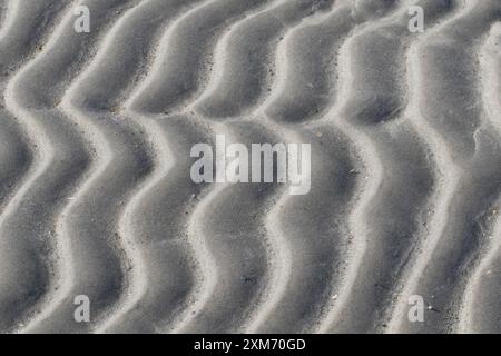 Ripple marks, structures in the mudflats, Wadden Sea National Park ...