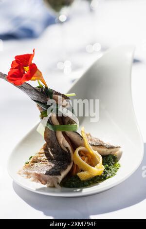 Fried trout with caper tartare on herb sauce Stock Photo