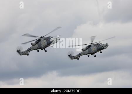 Two Leonardo AW159 Wildcat helicopters of the Royal Navy displaying at the 2024 Royal International Air Tattoo Stock Photo