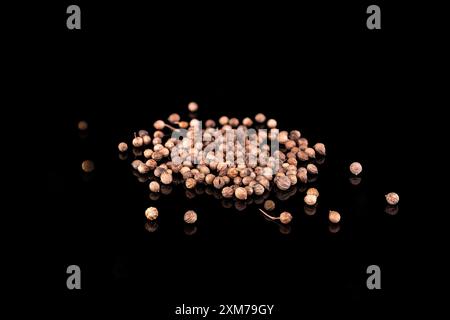 dried coriander seeds isolated on black background Stock Photo