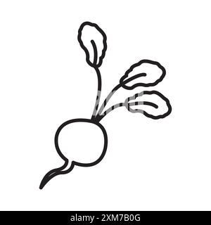 radish icon Black line art vector in black and white outline set collection sign Stock Vector