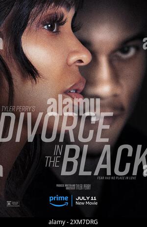 TYLER PERRY'S DIVORCE IN THE BLACK, (aka DIVORCE IN THE BLACK), from ...