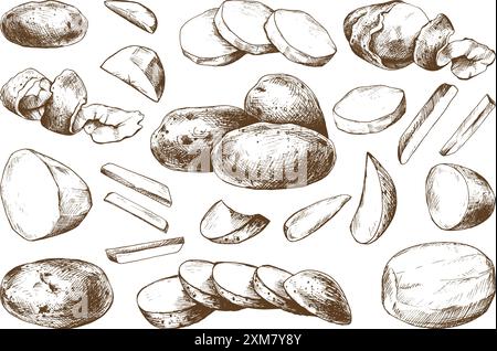 Red potatoes whole, half, cut, peeled and wedges. Graphic illustration hand drawn in brown ink. EPS vector on the theme of harvest cooking, food Stock Vector