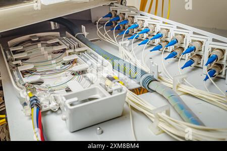 internal wiring of the optical patch panel in the wall cabinet for signal transmission via optical cables Stock Photo