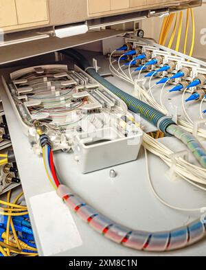 internal wiring of the optical patch panel in the wall cabinet for signal transmission via optical cables Stock Photo