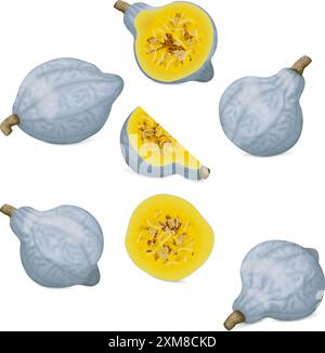 Clip art. Blue hubbard squash. Winter squash. Cucurbita maxima. Fruits and vegetables. Isolated vector illustration. Stock Vector