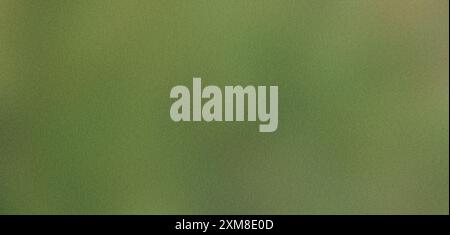 Green textured background with a gradient Stock Photo