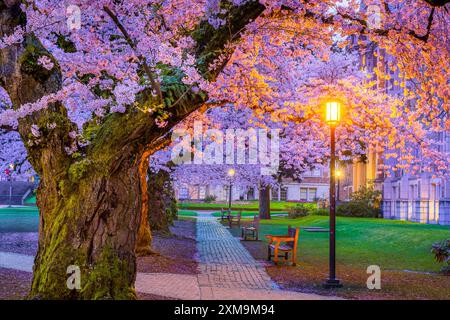 The University of Washington (commonly referred to as Washington or UDub) is a public research university in Seattle, Washington, United States. Stock Photo