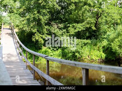 Bamboo pedestrian suspension bridge over river in tropical forest, Philippines. Stock Photo