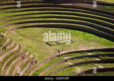 Inca terracing at Moray near Urubamba in Peru, South America. These terraces are thought to be the site of an Inca agricultural research centre for testing different crop strains. The different heights of the terraces created a series of microclimates that mimicked growing conditions at different altitudes. Stock Photo