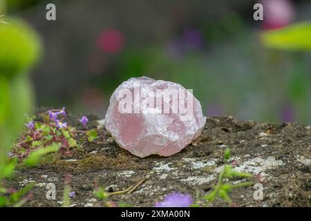 Rose quartz on an old stone wall, North Rhine-Westphalia, Germany Stock Photo