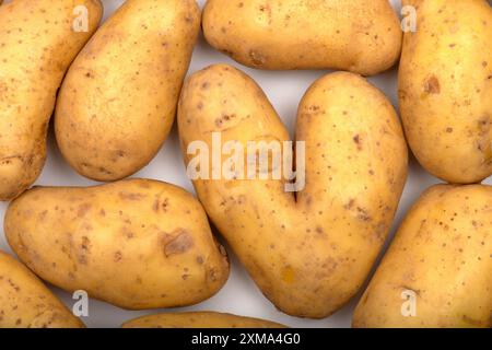 Potatoes, heart-shaped potato, heart, studio shot, Stuttgart, Baden-Wuerttemberg, Germany Stock Photo