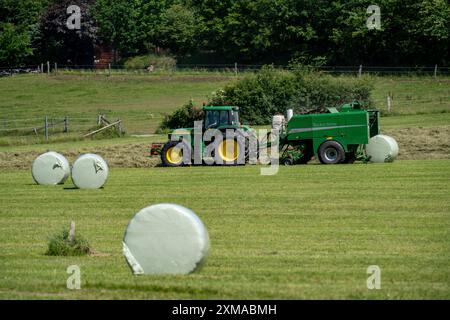 Hay harvest, farmer with agricultural machine, picks up mown hay, which is immediately pressed into bales and wrapped in film, baler/wrapper Stock Photo