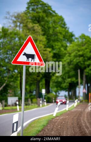 Country road, traffic sign cattle drive, sign warns of cattle on the road, near Linnich North Rhine-Westphalia, Germany Stock Photo