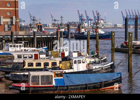 The Oevelgoenne district of Othmarschen, on the Elbe, museum harbour, historic ships and boats, in the back the new tugboat pier, Hamburg, Germany Stock Photo