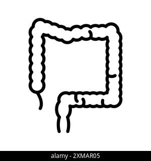 Large intestine icon linear logo mark set collection in black and white for web Stock Vector