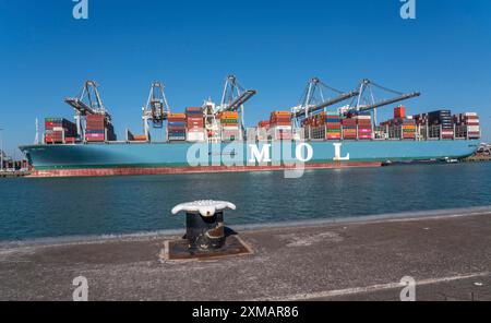 The seaport of Rotterdam, Maasvlakte, Hutchinson ECT Delta Terminal, Container Terminal, in the Amazonehaven, container freighter MOL Truth, of the Stock Photo