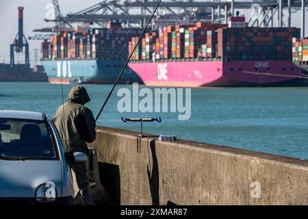 The seaport of Rotterdam, Maasvlakte, Hutchinson ECT Delta Terminal, Container Terminal, in the Amazonehaven Rotterdam Netherlands Stock Photo