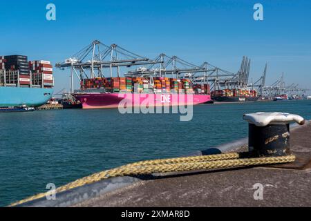 The seaport of Rotterdam, Maasvlakte, Hutchinson ECT Delta Terminal, Container Terminal, in the AmazonehavenContainer freighters from MOL, ONE Stock Photo