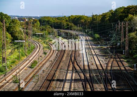 Tracks in front of Essen Central Station, 7 parallel railway lines, North Rhine-Westphalia, Germany Stock Photo