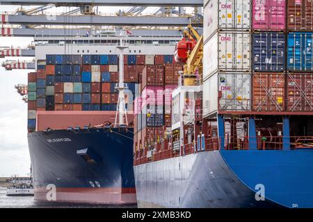 RWG Container Terminal, seaport of Rotterdam, container freighters are ...