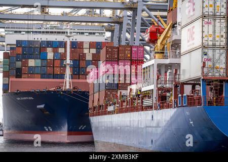 Apl Raffles RWG Container Terminal, seaport of Rotterdam, container freighter APL ...
