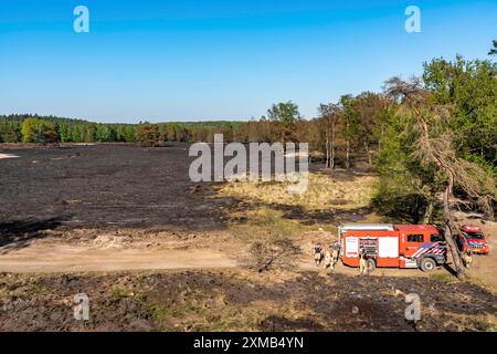 Forest fire in the German-Dutch border region near Niederkruechten-Elmpt, in a nature reserve, post-extinguishing work Stock Photo