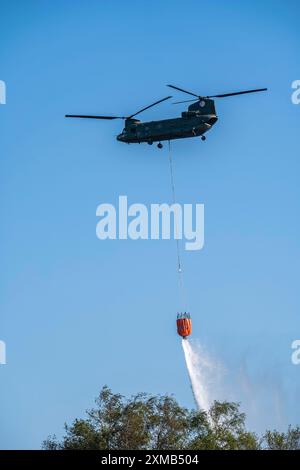 Forest fire in the German-Dutch border region near Niederkruechten-Elmpt, in a nature reserve, use of fire-fighting helicopters, Boeing CH-47 Chinook Stock Photo