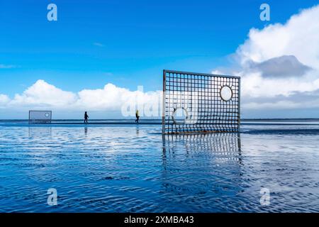 Football pitch, football field, Tor tor, on the beach, tidal creek, in the west of Borkum, island, East Frisia, winter, season, autumn, Lower Saxony Stock Photo