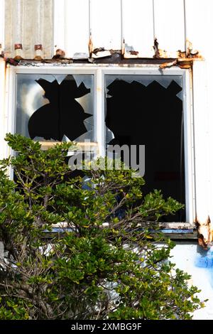 Broken windows in derelict building, Miramar, Wellington, North Island, New Zealand Stock Photo