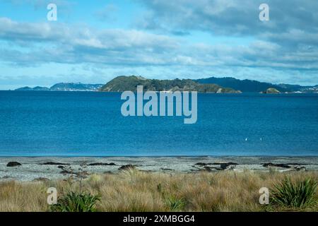 Matiu-Soames Island, from Petone Beach, Wellington, North Island, New Zealand Stock Photo