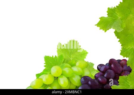 Green and red grapes and vine leaves isolated on white background Stock Photo