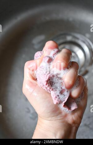 a person holding a sponge in their hand Stock Photo