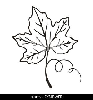 Grape leaf contour on white background. . Vector illustration Stock Vector