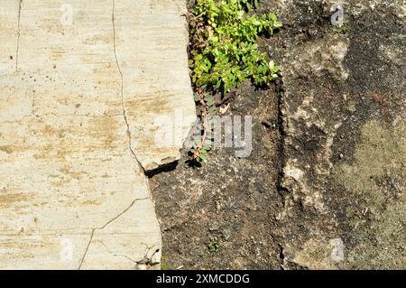 Cracked cement floor wall texture background pattern Stock Photo