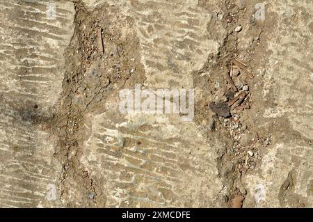 Cracked cement floor wall texture background pattern Stock Photo
