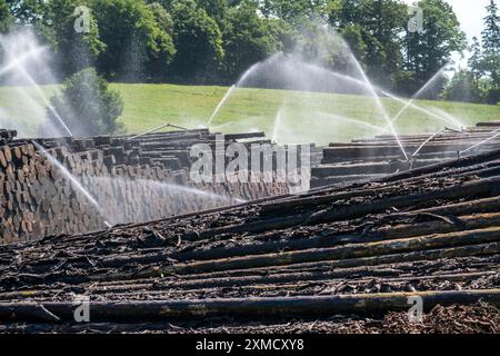 Wet wood storage of a sawmill, timber that is stored longer is sprinkled with water so that the logs soak up water and thus keep pests away and the Stock Photo