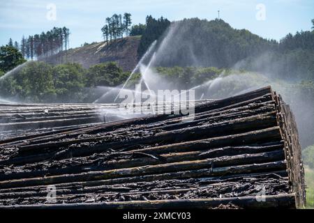 Wet wood storage of a sawmill, timber that is stored longer is sprinkled with water so that the logs soak up water and thus keep pests away and the Stock Photo