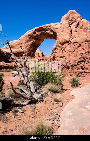 South Window, The Windows Section, Arches National Park, Utah, USA ...