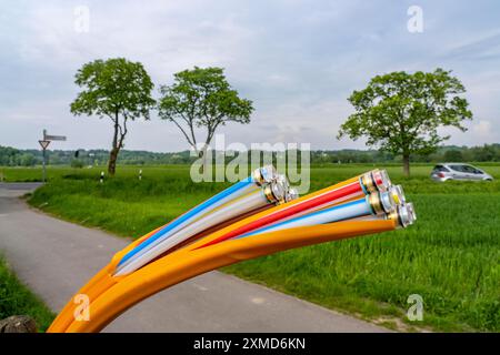 Fibre optic cable, freshly laid along a dirt track, at a paddock, awaiting further expansion, extension, provision of high-speed Internet in rural Stock Photo