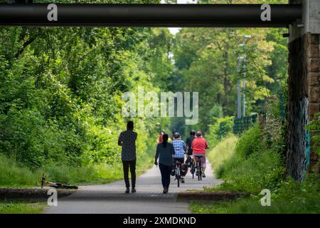 The Grugatrasse, former railway line, now cycle path, footpath, from Muelheim via Essen-Ruettenscheid to Essen-Steele, Essen, North Rhine-Westphalia Stock Photo