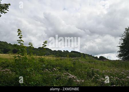 Clouds Over the Valley Stock Photo